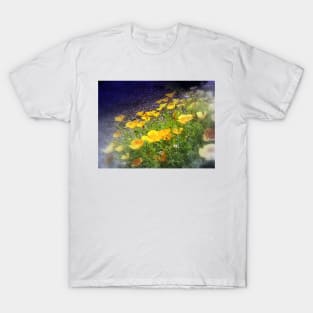 california poppies 4 T-Shirt